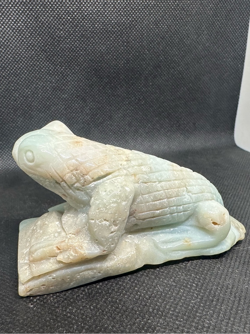 Amazonite lizard - Picture 4 of 6